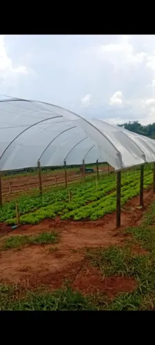 Estufa agricola 