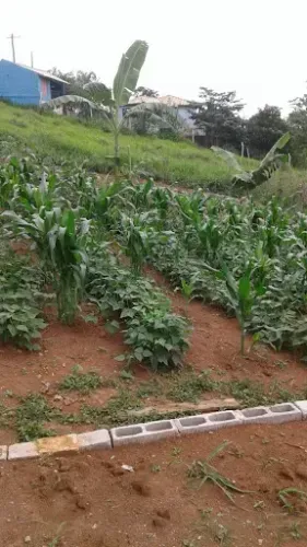 Promoção Chácara Zona Rural Taubate
