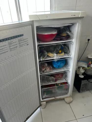 Freezer Electrolux
