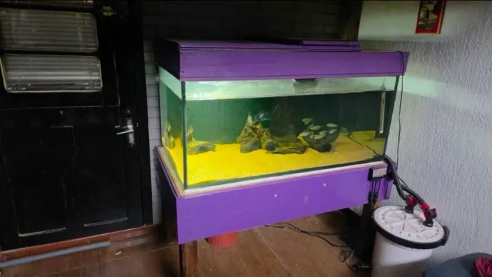 Aquario 360 litros