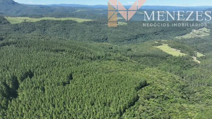 FAZENDA À VENDA NO SUL DE SANTA CATARINA