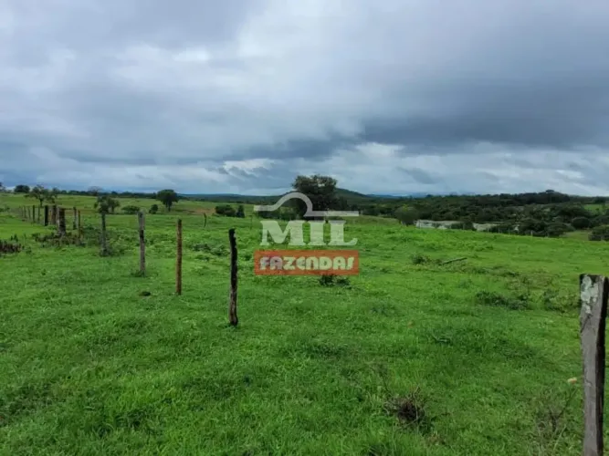 Fazenda 354 Alqueires (1.715 Hectares) Colinas do Sul - GO