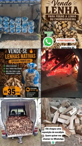 Lenha nativas cortadas pronto uso