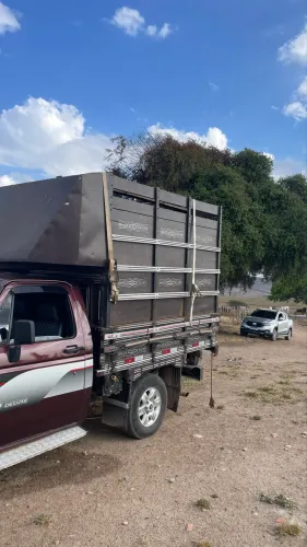 Gaiola transporte de gado/boiadeiro D20