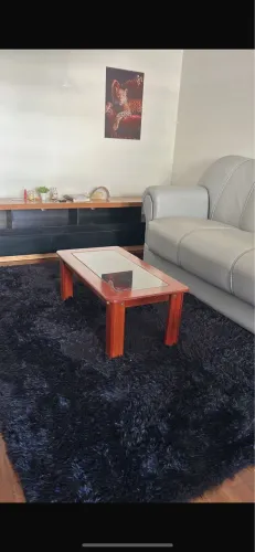 Tapete grande felpudo e mesa