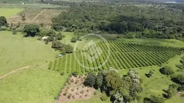 Fazenda à venda em Goiânia com 73 alqueires às margens da BR-153 codigo: 341175
