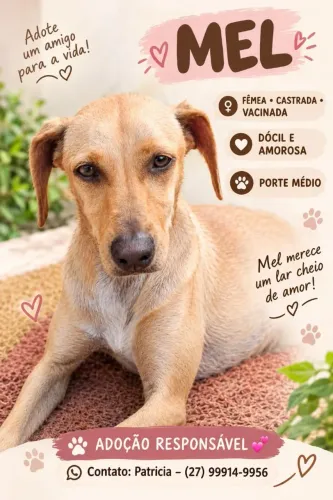 Cachorro ?