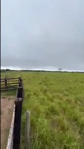 Fazenda Produtiva com 410 Hectares No Pará | Estrutura Pronta | 39 Piquetes Rotacionados