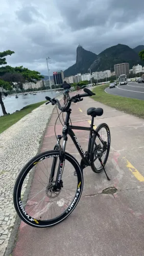 Bike aro 29 estilo rj