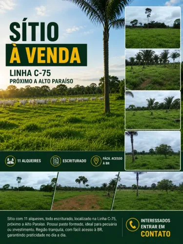 Sítio 11 Alqueires Escriturado | Linha C-75 | Próximo a Alto Paraíso