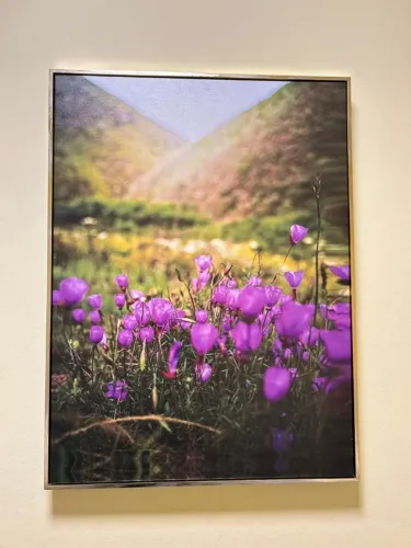 Quadro decorativo
