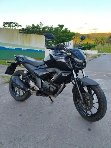 Fz15 2023