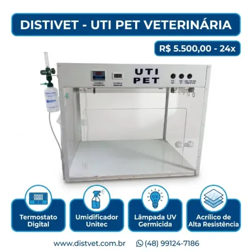 UTI pet Intensivismo internação Canil