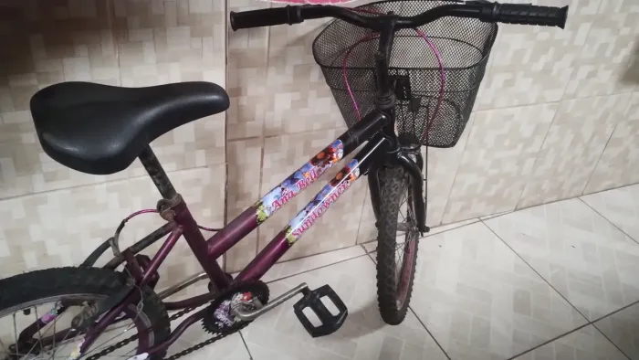 Bicicleta