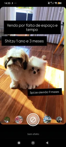 Os dois apenas abaixo do preço para sair rápido, aceito trocas e só vendo os dois juntos 
