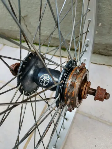 Roda traseira rediline gringa