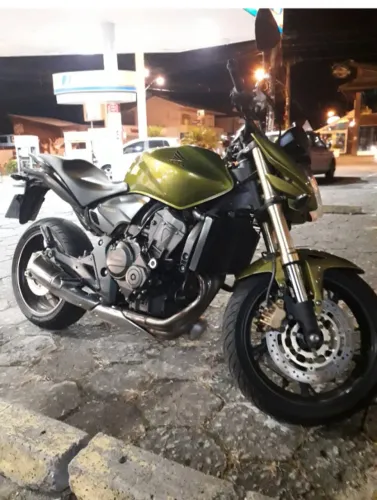 Hornet 2011
