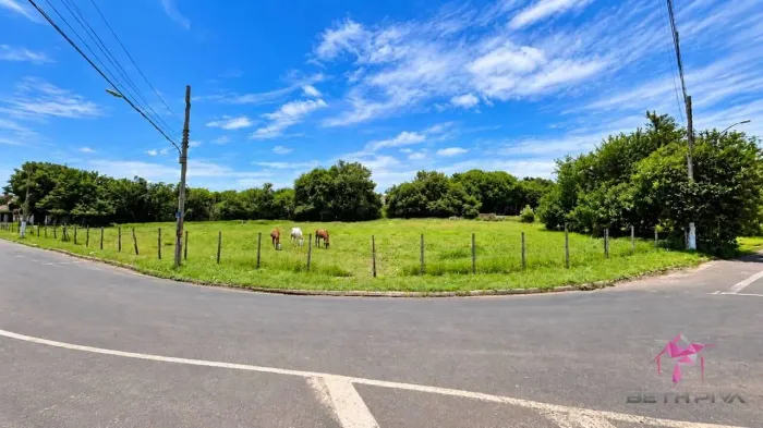 ÁREA À VENDA EM AVENIDA IDEAL PARA BARRACÕES, COMÉRCIO E INVESTIMENTO