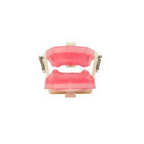 Manequim Endodontia - Pronew