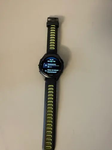 Garmin 265s