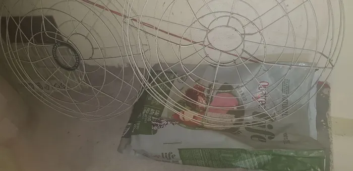 2 Grades de ventilador grande - frente e traseira - 69 cm