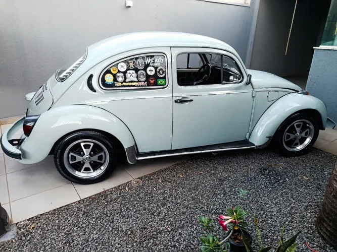 Fusca cinza