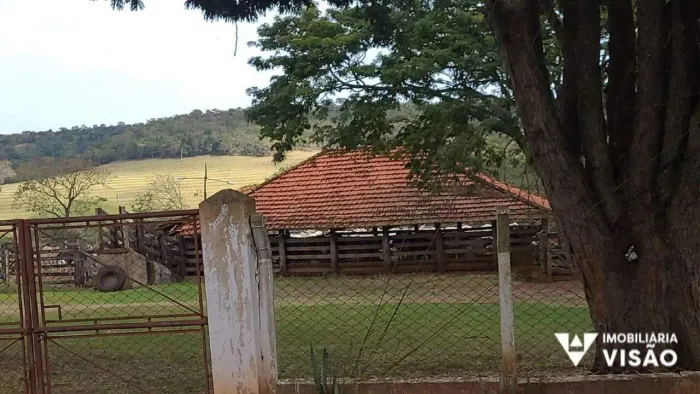 FAZENDA PIRACANJUBA NA ZONA RURAL DE CAMPO FLORIDO COM 72 ALQUEIRES