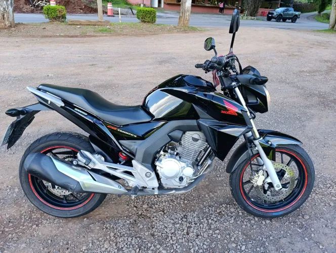 CB Twister 250cc Flexone 