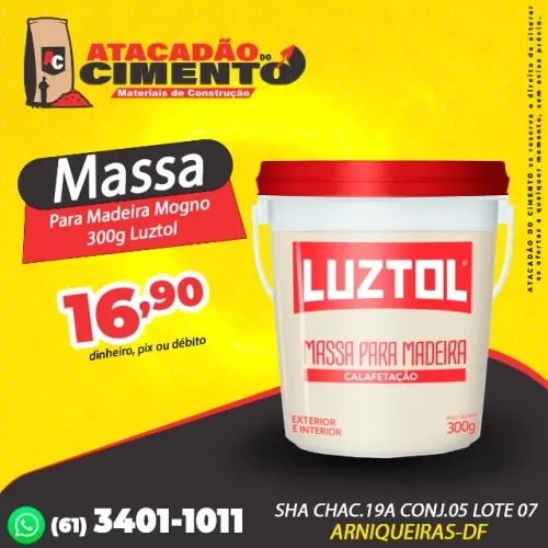 Massa Para Madeira 300g Luztol