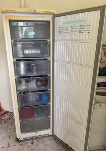 Freezer Electrolux