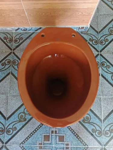 Vaso sanitario marrom