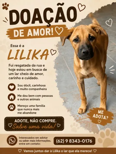 Cachorro fêmea 5 meses 