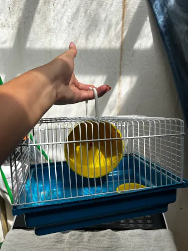 HAMSTER