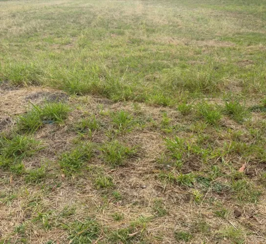 VENDE SE ESSE TERRENO NA NOVA SERTAOZINHO SP *