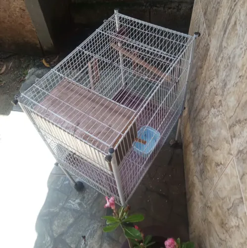 Gaiola grande