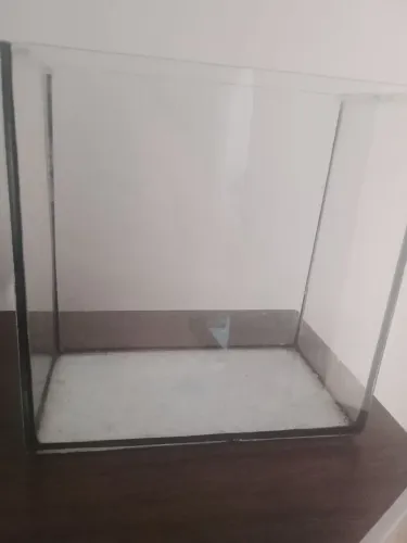 Aquário para bettas