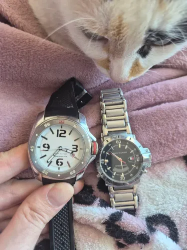 Relógios Tommy hilfiger originais