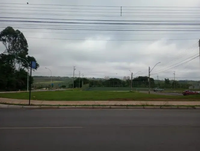 Ágio samambaia norte