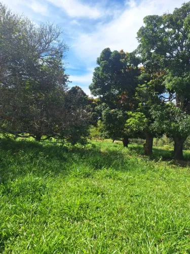 Terreno 29,6508
