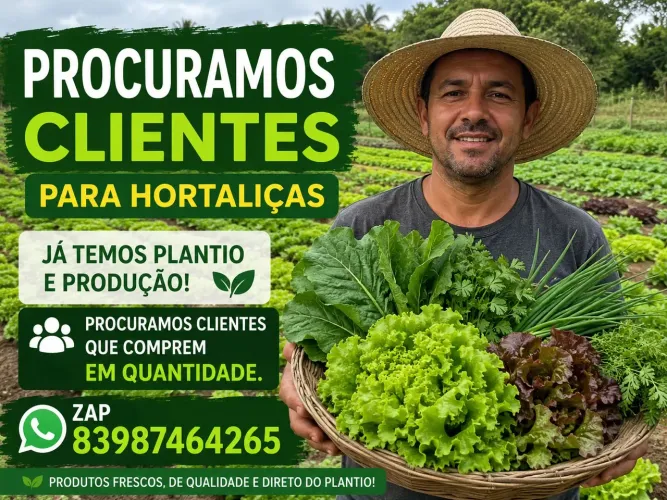 Verduras fresquinhas e sem agrotóxicos 