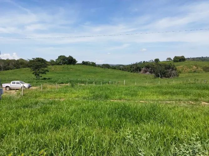 Sitio a venda em Santa Cruz de Goias , 12 alqueires e 4 Litros