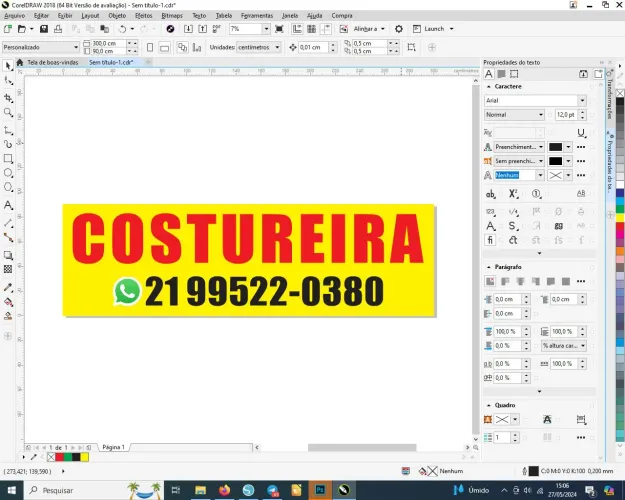 Costureira profissional
