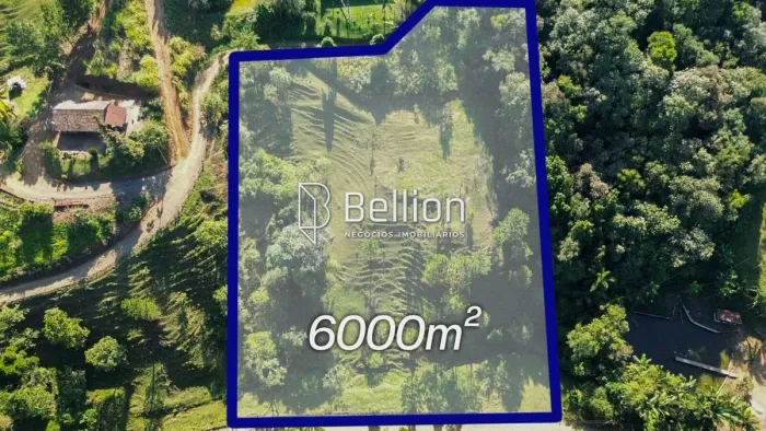 Sítio com Ribeirão e 6.000m² em Benedito Novo Ideal para Chalés ou Moradia!