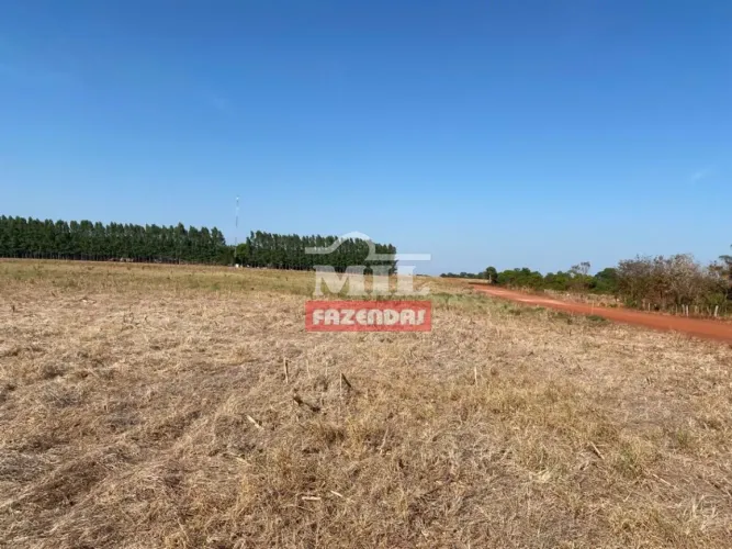 Fazenda em Carolina - MA. 4.808 Há. (Dupla Aptidão)