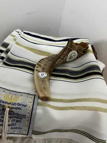 Shofar de carneiro original de Israel 30~34cm