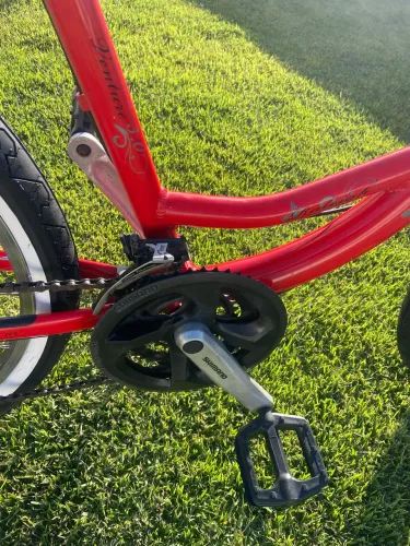 Bike Raleigh