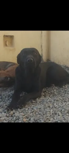 Doa-se