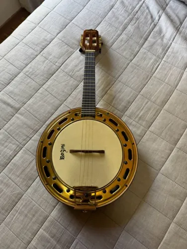 Banjo Profissional Rozini RJ12 Elétrico Com Aro Dourado