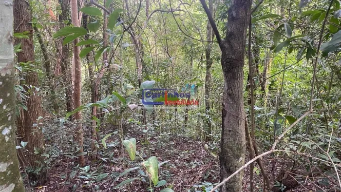 Lote à Venda - no Recreio do Lago - São Joaquim de Bicas/MG