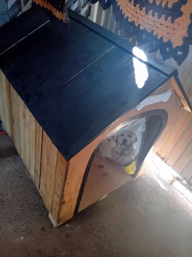 Vendeu se casinha para cachorro